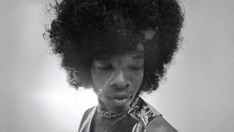 Questloves Sly Stone-Dokumentarfilm Sly Lives! Komme nach Hulu