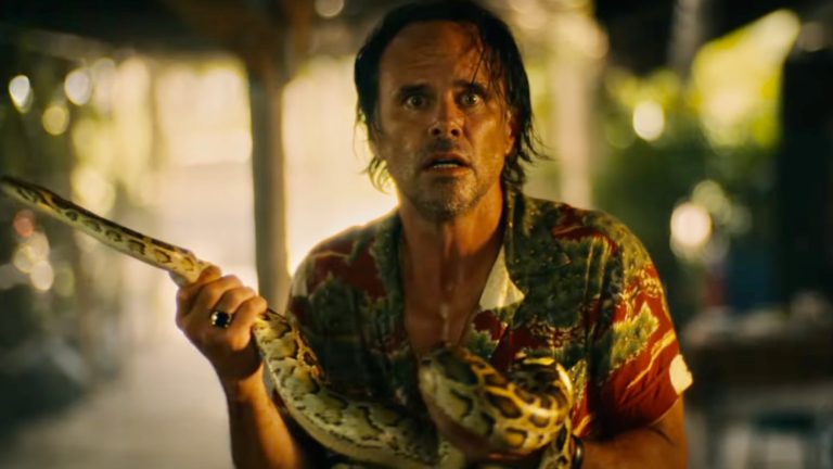 Trailer zur dritten Staffel von The White Lotus: Die Spannungen in Thailand nehmen zu