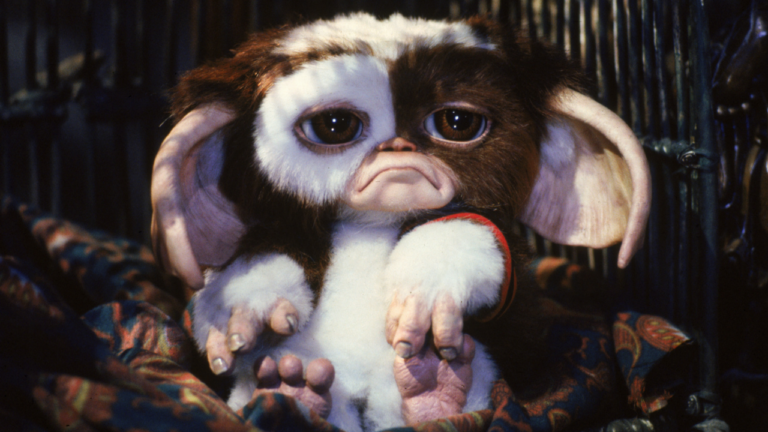 Grünes Licht für Gremlins 3 mit Steven Spielberg und Chris Columbus Returning