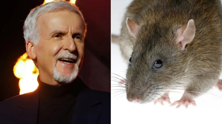 James Cameron führte am Set von „The Abyss“ eine Herz-Lungen-Wiederbelebung durch