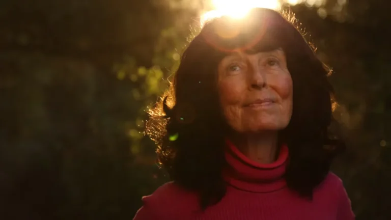 Linda Perhacs wird als vermisst gemeldet