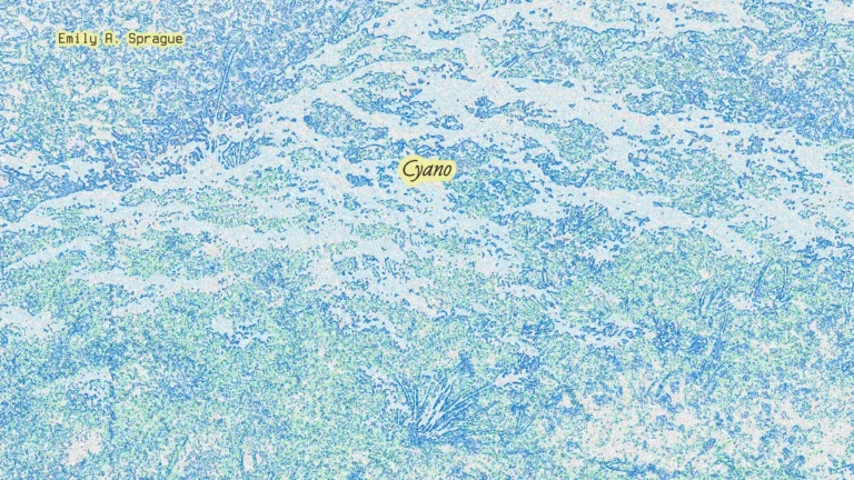 Cyano